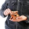 Fun Wooden Frog Percussion Instrument